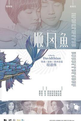 精品视频在线播放